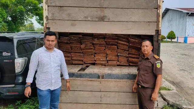 Penebang Kayu Hutan Didenda Rp 1 Miliar