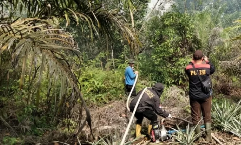 Karhutla di Dumai Lima Hektare Lahan Terbakar