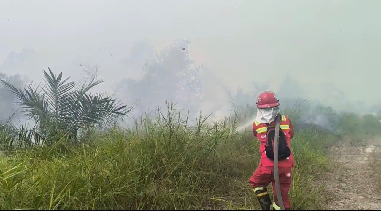 Lahan Lima Hektare di Tapung Kampar Terbakar